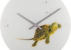 horloge design tortue nextime